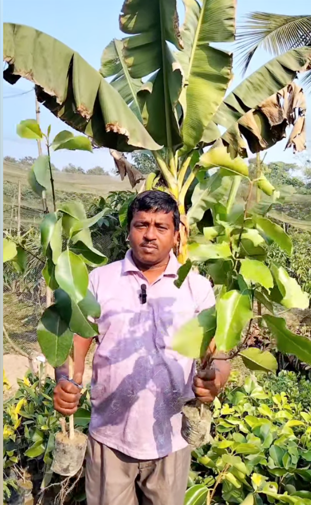 S.R. Das Nursery — Healthy Plants Happy Gardens